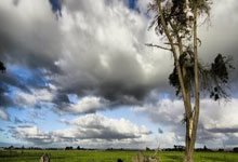 💪🏻最年轻首发!利物浦16岁小将恩古莫哈将迎来一线队首秀.