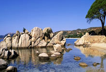 雷竞技:世俱杯和高薪都要!英媒曝C罗将离队,或联手梅西,球迷:真敢编.